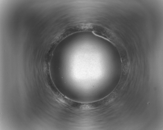 X0000065970704200603031129