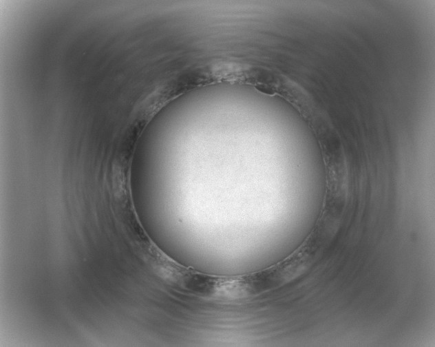 X0000065970705200603031129