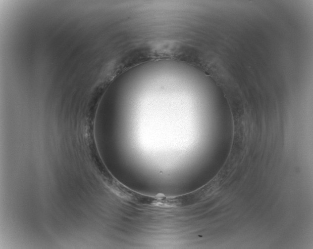 X0000065970706200603031129