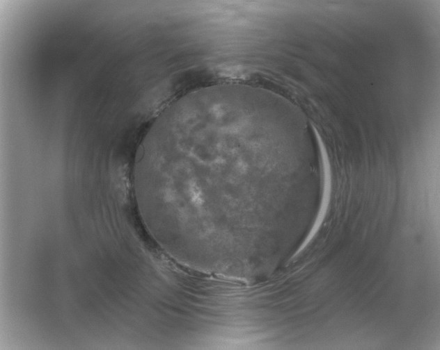 X0000065970707200603031129