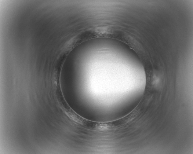 X0000065970710200603031129