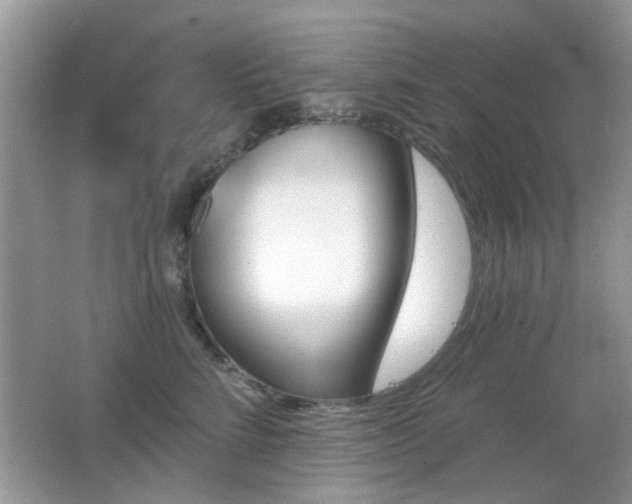 X0000065970712200603031128