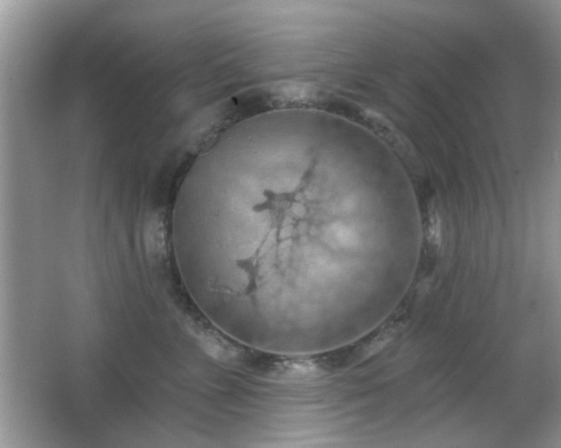 X0000065970715200603031128