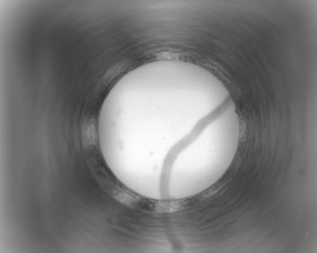 X0000065970717200603031128