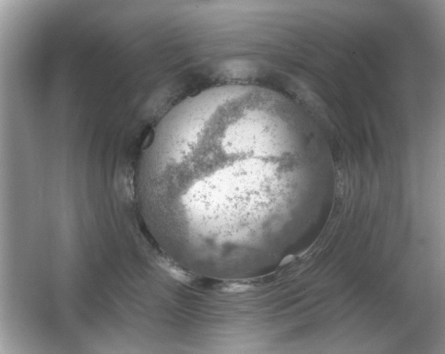 X0000065970718200603031128