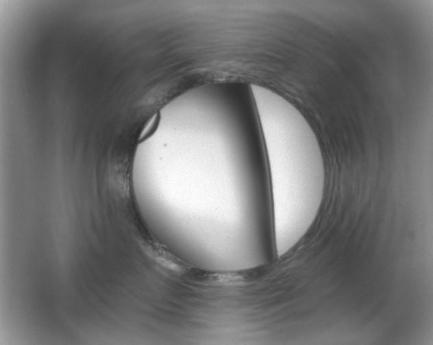 X0000065970719200603031128