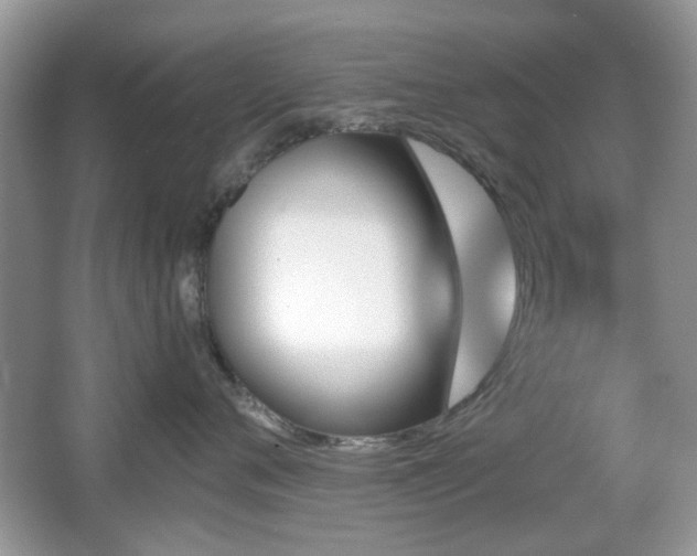 X0000065970720200603031128