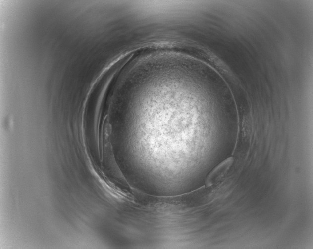 X0000065970722200603031128