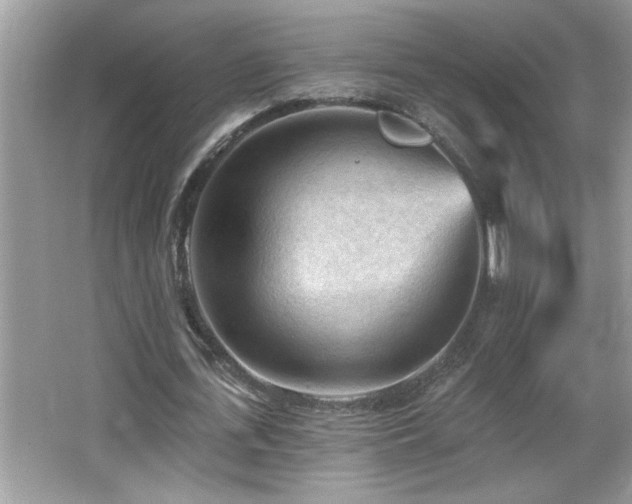 X0000065970723200603031128