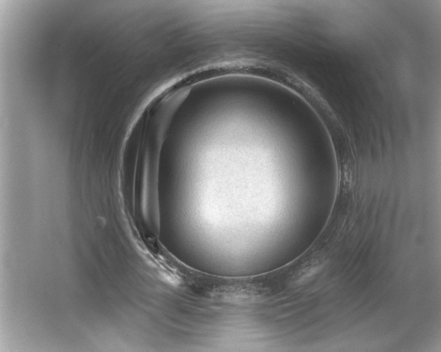 X0000065970724200603031128