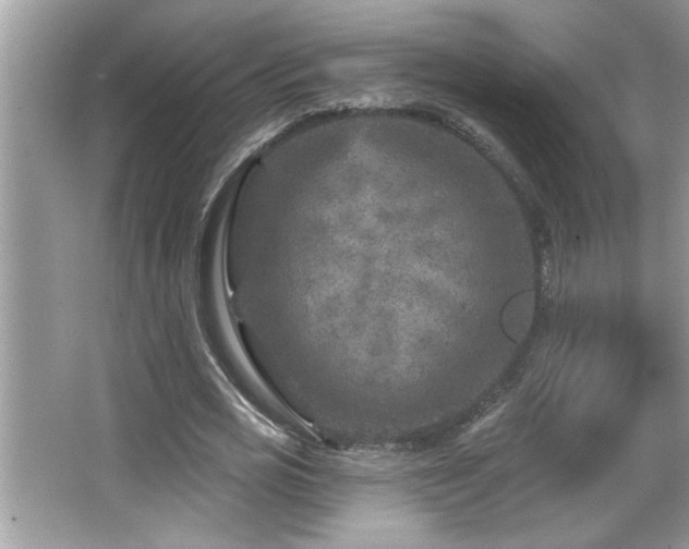 X0000065970725200603031128