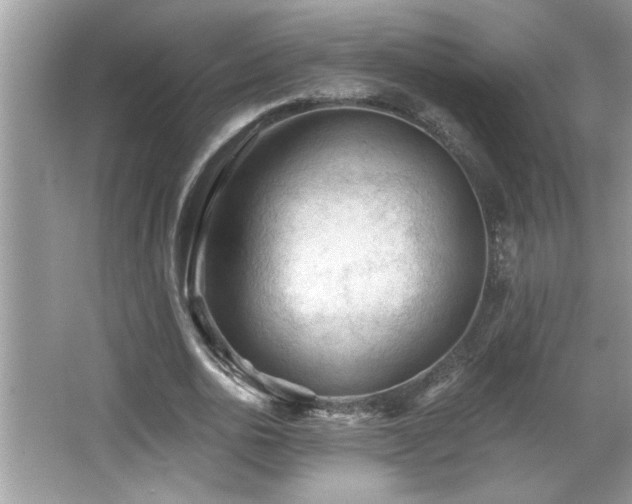 X0000065970726200603031128