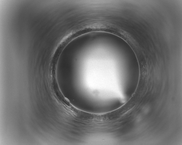 X0000065970727200603031128