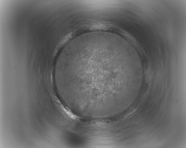 X0000065970729200603031128