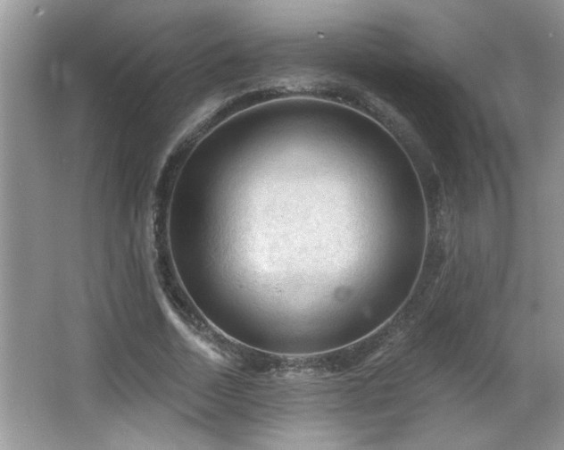 X0000065970730200603031128