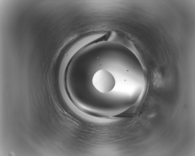 X0000065970731200603031128