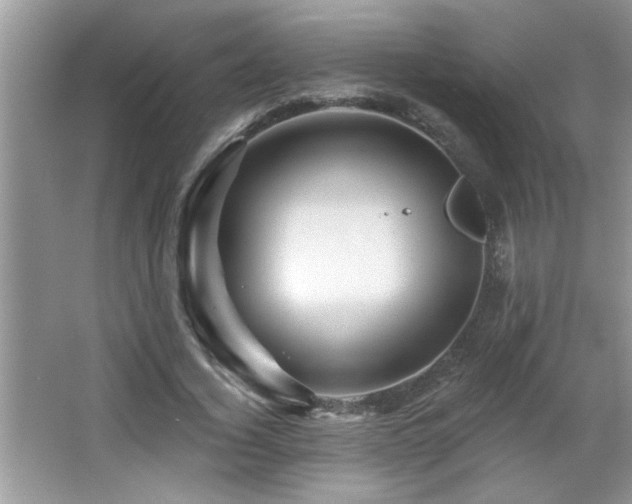 X0000065970732200603031128