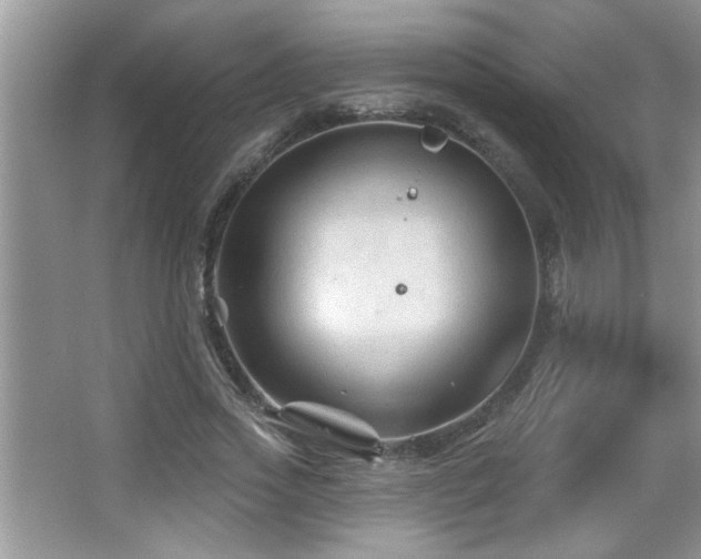 X0000065970733200603031128