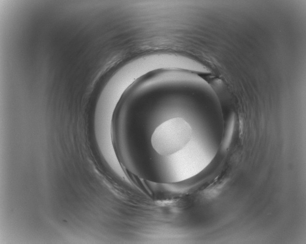 X0000065970735200603031128