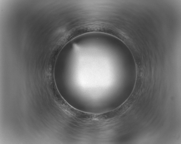 X0000065970737200603031128