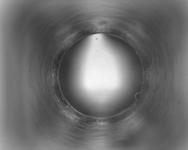 X0000065970741200603031128