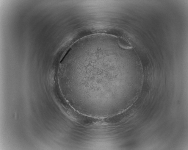 X0000065970742200603031128