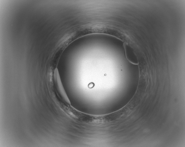 X0000065970744200603031128