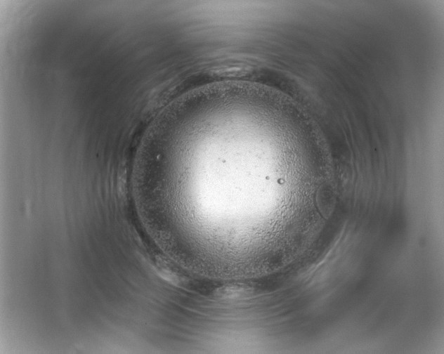 X0000065970745200603031128