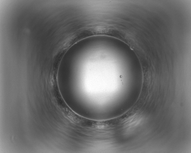 X0000065970746200603031128