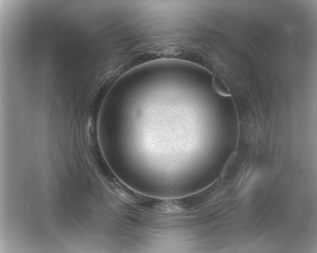 X0000065970747200603031128