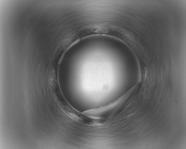 X0000065970748200603031128