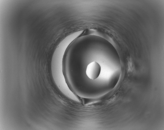 X0000065970750200603031128