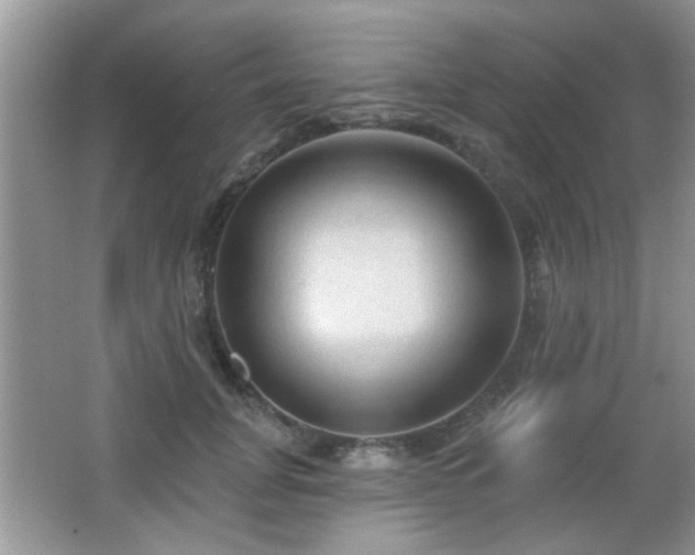 X0000065970751200603031128