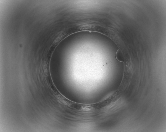 X0000065970753200603031128