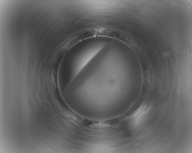 X0000065970754200603031128