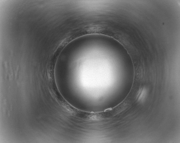 X0000065970755200603031128