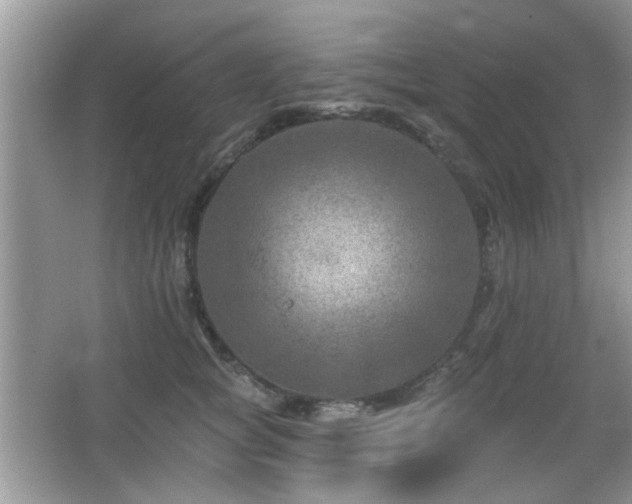 X0000065970757200603031128