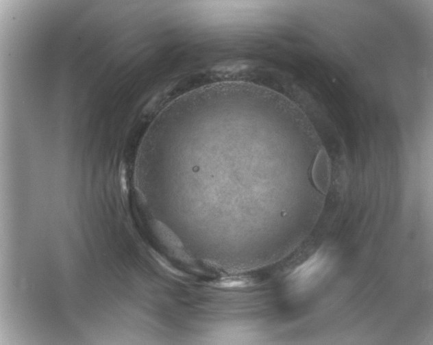 X0000065970758200603031128