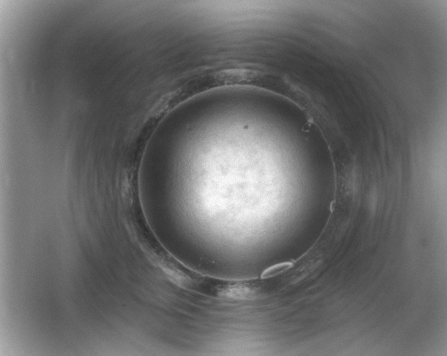 X0000065970759200603031128