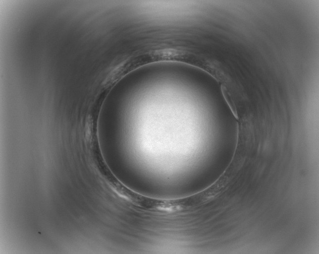 X0000065970760200603031128