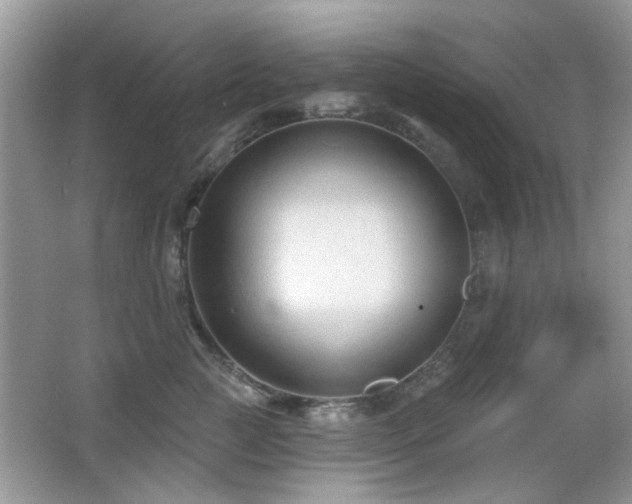 X0000065970761200603031128