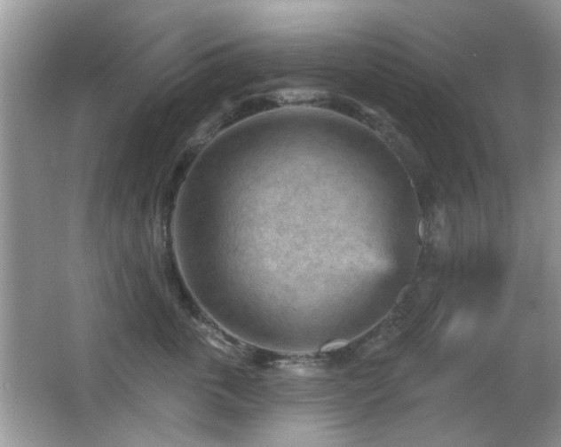 X0000065970763200603031128