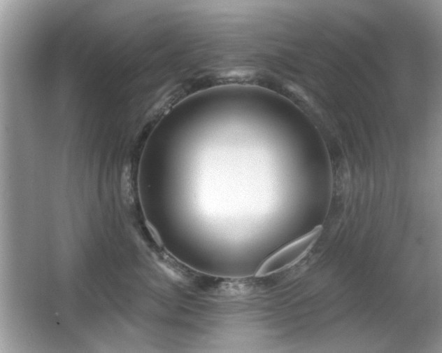 X0000065970764200603031128