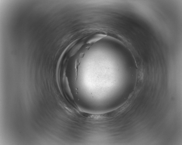 X0000065970766200603031128