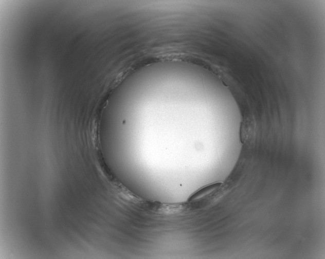 X0000065970767200603031128