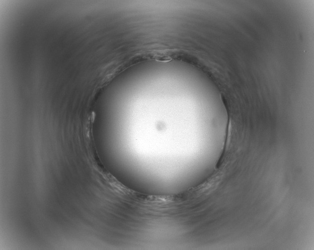 X0000065970768200603031128