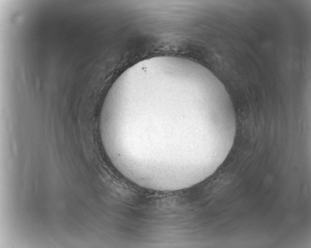 X0000065970769200603031128