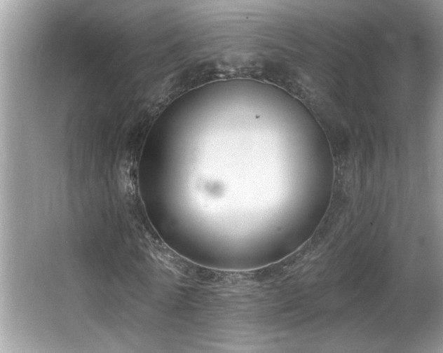 X0000065970770200603031127