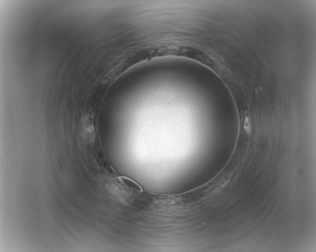 X0000065970771200603031127