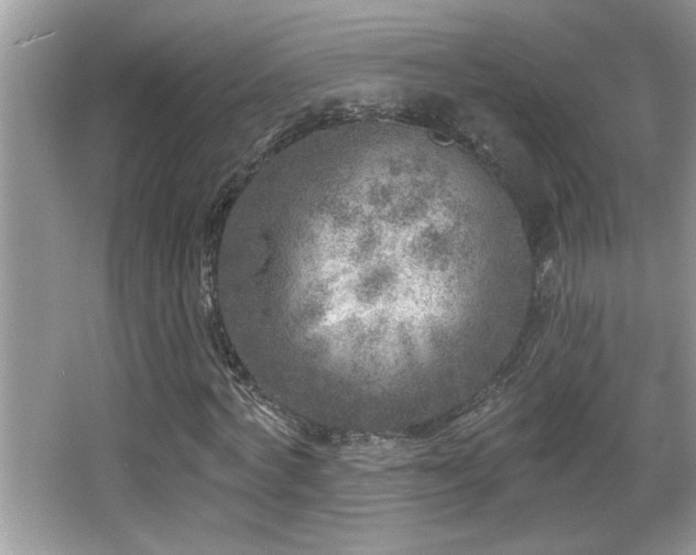 X0000065970772200603031127